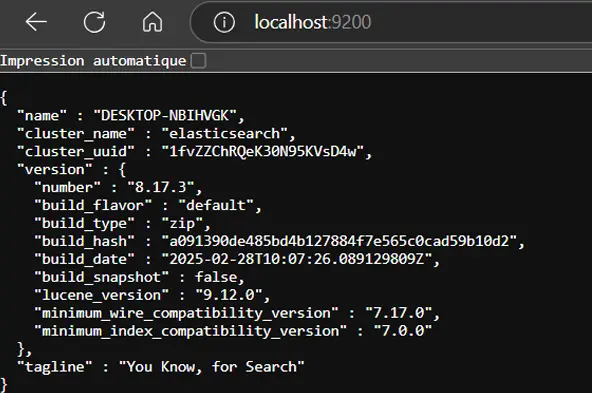 Lancement réussi d’Elasticsearch